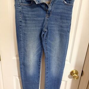 American Eagle Outfitters Blue Skinny Jeans